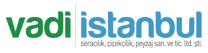 Vadi Sera Çiçekçilik